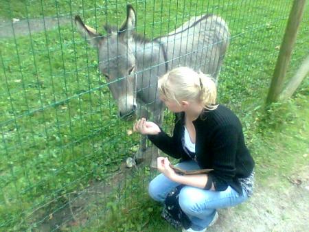 coucouc didi 