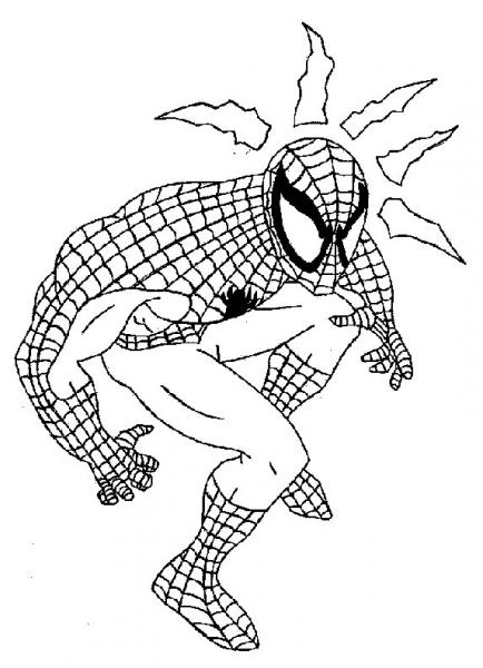 coucou spider man 