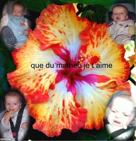voici mon petit coeur 