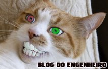 coucou le chat 
