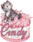 cindy 