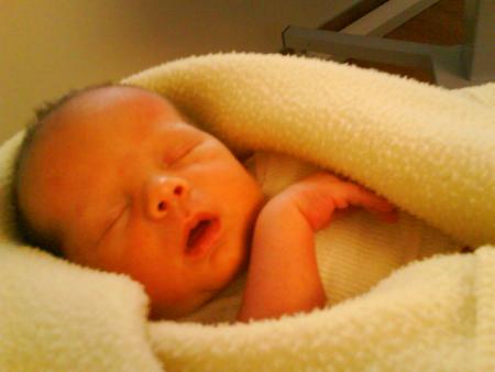 NOAH 