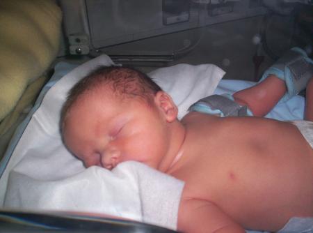 noah
