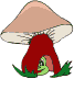champignon 